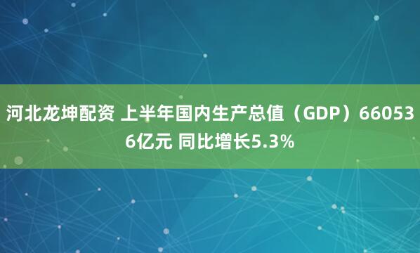河北龙坤配资 上半年国内生产总值（GDP）660536亿元 同比增长5.3%