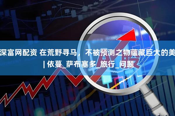 深富网配资 在荒野寻马，不被预测之物蕴藏巨大的美 | 依蔓_萨布塞多_旅行_问题