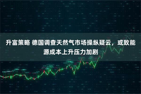 升富策略 德国调查天然气市场操纵疑云，或致能源成本上升压力加剧