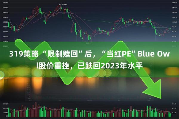 319策略 “限制赎回”后，“当红PE”Blue Owl股价重挫，已跌回2023年水平