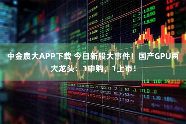 中金宸大APP下载 今日新股大事件！国产GPU两大龙头：1申购，1上市！