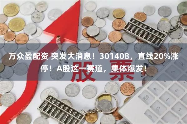 万众盈配资 突发大消息！301408，直线20%涨停！A股这一赛道，集体爆发！