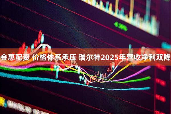 金惠配资 价格体系承压 瑞尔特2025年营收净利双降